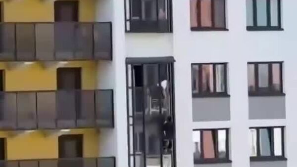 ساکنان یک آپارتمان در یک شهر روسیه بدون اینکه منتظر کارکنان وزارت اضطرار بمانند، سگی را از بالکن نجات دادند ساکنان یک آپارتمان در یک شهر روسیه بدون اینکه منتظر کارکنان وزارت اضطرار بمانند، سگی را از بالکن نجات دادند - اسپوتنیک افغانستان