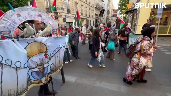 پاریسی‌ها دوباره در حمایت از فلسطین به خیابان‌ها آمدند - اسپوتنیک افغانستان  