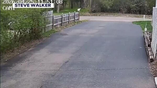 نماینده مجلس داکوتای شمالی پس از انفجار هواپیمایش در پی برخورد گلوله، چند ثانیه پس از برخاستن کشته شد - اسپوتنیک افغانستان  