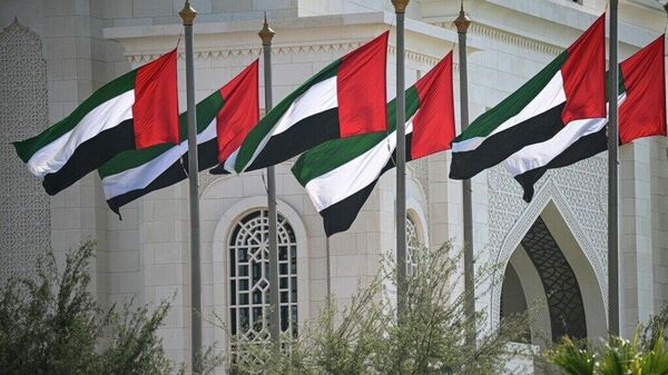 تحلیلگر سیاسی: خروج امارات از اوپک و اوپک پلاس، گامی حاکمیتی است - اسپوتنیک افغانستان  