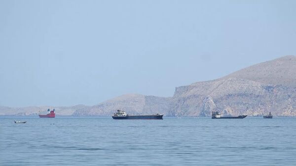 مدیرعامل شرکت آرامکو: تنگه هرمز برای باز شدن به ماهها زمان نیاز دارد - اسپوتنیک افغانستان  