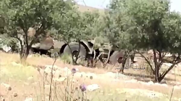 تصاویری از تخریب زمینهای کشاورزی در روستای رأس طیره در شمال کرانه باختری توسط نیروهای اسرائیلی - اسپوتنیک افغانستان  