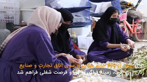 گشایش کارگاه آموزش و کاریابی برای بیش از بانوی 500 بازگشته در هرات - اسپوتنیک افغانستان  