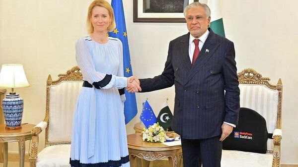 درخواست اتحادیه اروپا از پاکستان و افغانستان برای حل تنش ها - اسپوتنیک افغانستان  