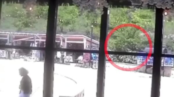 فرار معجزهآسای گردشگران و فروشنده از مرگ - اسپوتنیک افغانستان  