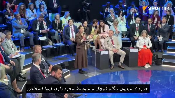 معاون وزیر توسعه اقتصادی روسیه: بخش شرکتهای کوچک و متوسط تقریبا یک سوم از کل اشتغال اقتصادی در کشور را تشکیل میدهد - اسپوتنیک افغانستان  