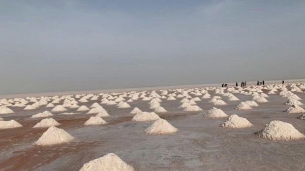 قرارداد استخراج معدن نمک هرات با سرمایهگذاری بیش از 20 میلیون دالر امضا شد - اسپوتنیک افغانستان  