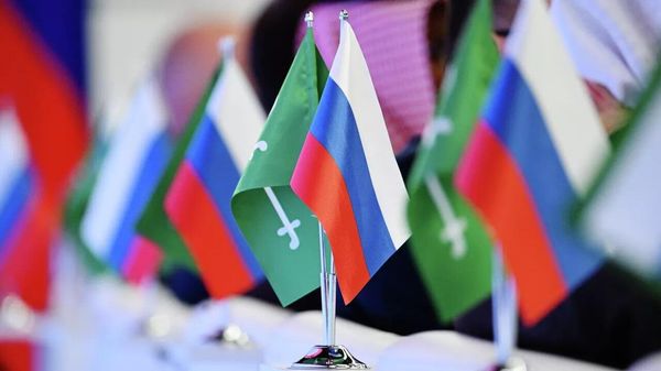 وزیر انرژی عربستان سعودی : روسیه و عربستان سعودی به روابط مشارکتی متعهد هستند - اسپوتنیک افغانستان  