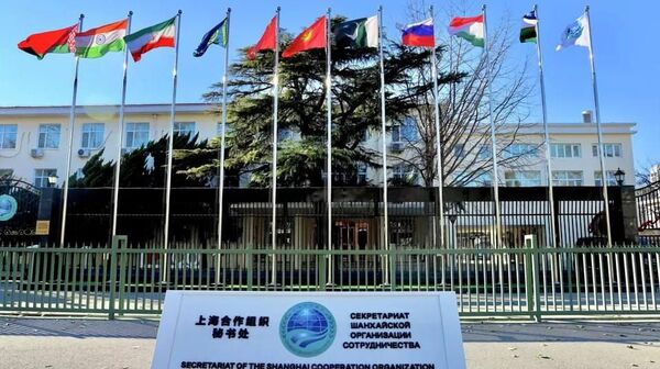 کارشناس: سازمان شانگهای میتواند با تقویت همکاریهای امنیتی و پروژههای زیربنایی به ثبات و توسعه افغانستان کمک کند - اسپوتنیک افغانستان  