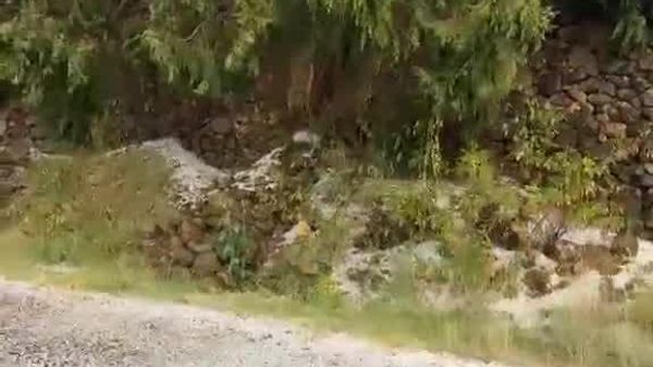 بارش باران و ژاله در منطقه عسیرعربستان سعودی - اسپوتنیک افغانستان  