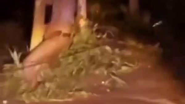 جان باختن ده ها تن در سلاب های بنگلادش - اسپوتنیک افغانستان  