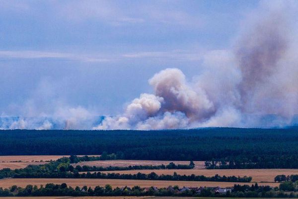 آتشسوزی بزرگ مقیاس در جنگلهای پارک ملی موریتز آتشسوزی بزرگ مقیاس در جنگلهای پارک ملی موریتز - اسپوتنیک افغانستان