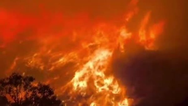 آتشسوزی گسترده در سیسیل؛ خانهها و جنگلها در آتش - اسپوتنیک افغانستان  