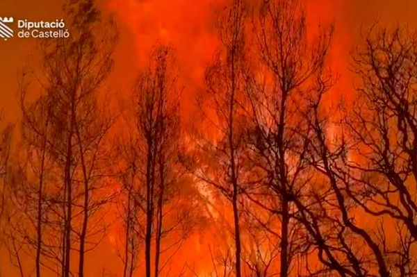 کاهش توانایی اسپانیا در مهار آتشسوزیهای جنگلی به دلیل نبود چرخبال های کاموف روسی کاهش توانایی اسپانیا در مهار آتشسوزیهای جنگلی به دلیل نبود چرخبال های کاموف روسی - اسپوتنیک افغانستان