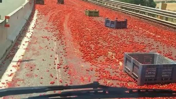واژگونی کامیون حامل بادنجانرومی در بزرگراهی در ایتالیا - اسپوتنیک افغانستان  