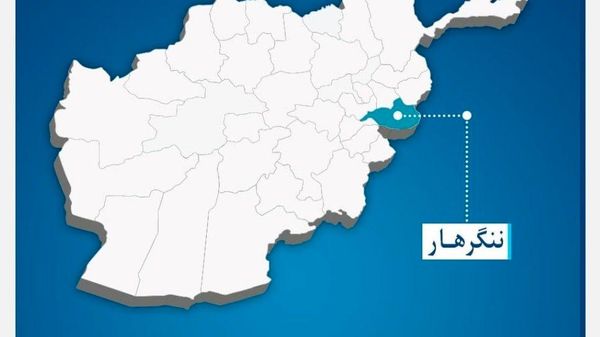 ⭕ 363 جریب زمین در ننگرهار امارتی تثبیت شد - اسپوتنیک افغانستان  