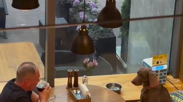شام دونفره با کسی که هیچوقت مصروف تلفونش نیست! - اسپوتنیک افغانستان  