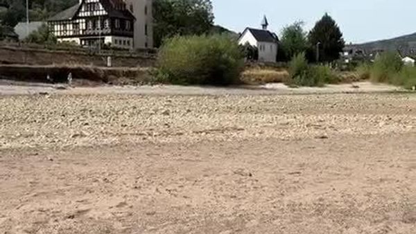 کشتیرانی در راین آلمان در آستانه ای فروپاشی کامل به دلیل کمآبی - اسپوتنیک افغانستان  