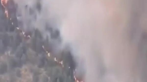 در اسپانیا بیش از 1000 نفر به دلیل آتشسوزی مجبور به ترک خانههایشان شدهاند - اسپوتنیک افغانستان  