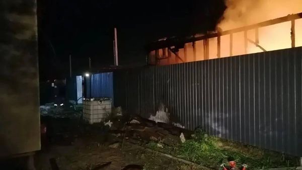 فرماندار منطقه مسکو: نیروهای مسلح اوکراین حمله پهپادی گستردهای را در منطقه مسکو آغاز کردند - اسپوتنیک افغانستان  