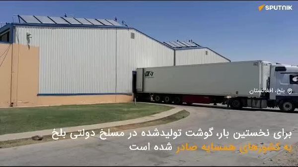 🟧 صادرات گوشت از کشتارگاه ولایت بلخ به اوزبیکستان و تاجیکستان - اسپوتنیک افغانستان  