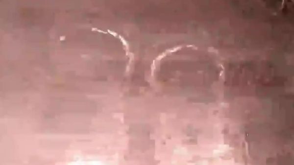 موشک اسپکتروم آلمان برای اولین بار به فضا رسید - اسپوتنیک افغانستان  