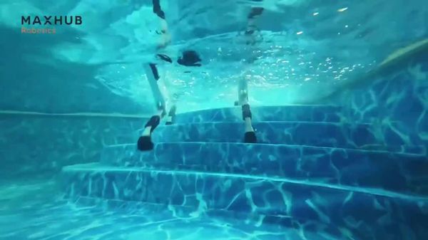 آزمایش سگربات چهارپای «مکسهاب ایکس1» در چین با فروبردن کامل در آب - اسپوتنیک افغانستان  