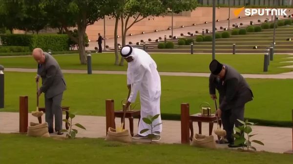 رهبران بریکس درخت بانیان (انجیر معابد) کاشتند؛ نمادی از اتحاد برای آینده - اسپوتنیک افغانستان  