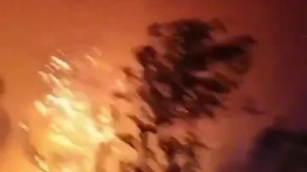 آتشسوزی گسترده در جزیره براچ کرواسی هزاران هکتار از جنگلها و اراضی منطقه را خاکستر کرد - اسپوتنیک افغانستان  