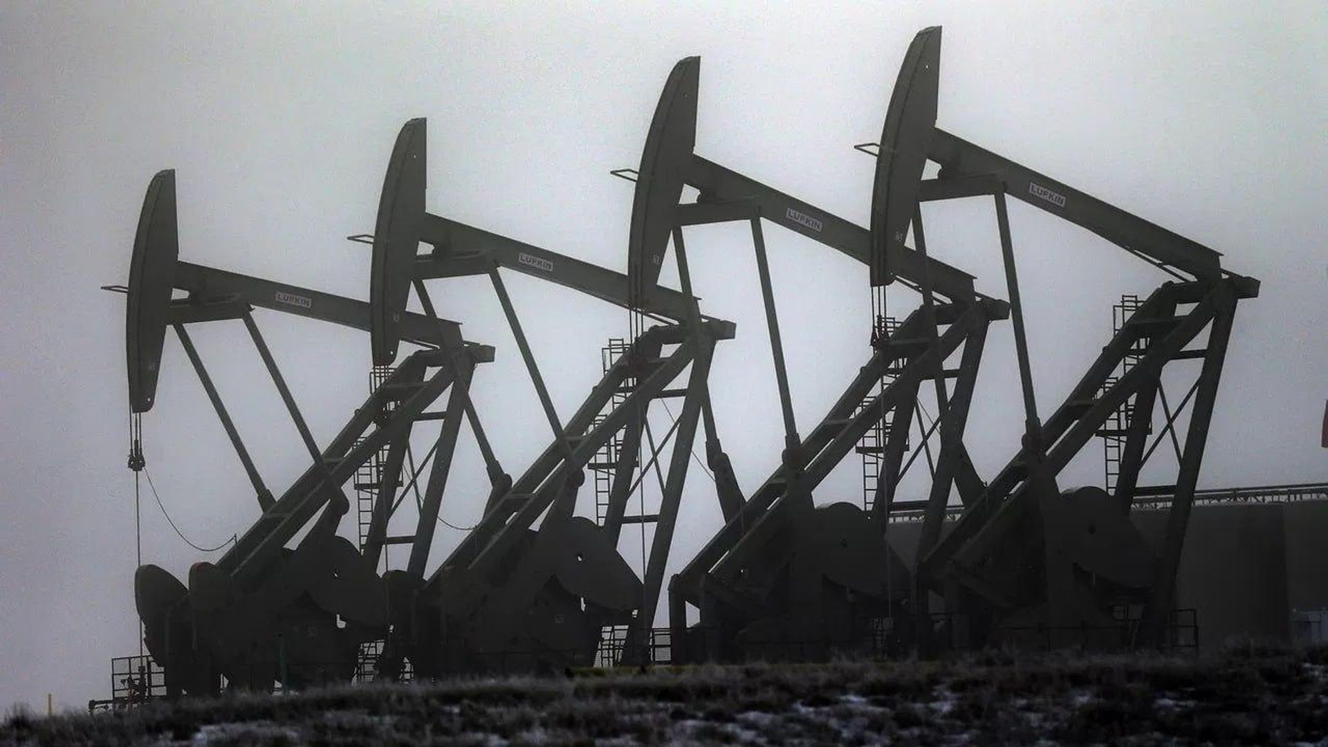 ذخایر راهبردی نفت آمریکا به پایینترین سطح از اکتبر 1982 رسید ذخایر راهبردی نفت آمریکا به پایینترین سطح از اکتبر 1982 رسید - اسپوتنیک افغانستان , 1920, 28.09.2026