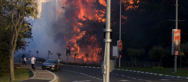 People run as wildfires rages in Haifa, Israel, Thursday, Nov. 24, 2016 People run as wildfires rages in Haifa, Israel, Thursday, Nov. 24, 2016 - اسپوتنیک افغانستان
