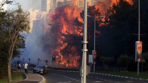 People run as wildfires rages in Haifa, Israel, Thursday, Nov. 24, 2016 - اسپوتنیک افغانستان  