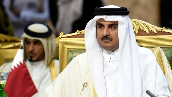 Qatar's Emir Sheikh Tamim bin Hamad Al-Thani - اسپوتنیک افغانستان  