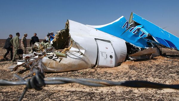 سقوط هواپیما در شمال ایالات متحده امریکا - اسپوتنیک افغانستان  