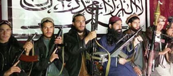 طالبان: اجازه دخالت در امور داخلی افغانستان را به امریکا نمی دهیم طالبان: اجازه دخالت در امور داخلی افغانستان را به امریکا نمی دهیم - اسپوتنیک افغانستان