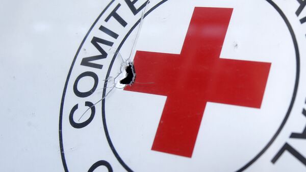 تأثیر منفی ناامنی بر فعالیت‌های صلیب سرخ در افغانستان - اسپوتنیک افغانستان  