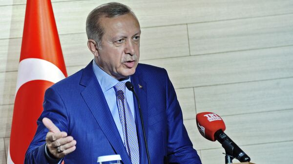 اردوغان: ترکیه تحولات سوریه را با دقت تمام دنبال می کند - اسپوتنیک افغانستان  