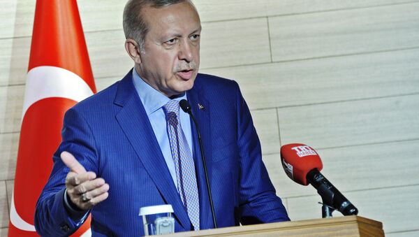 رجب طیب اردوغان رئیس جمهور ترکیه - اسپوتنیک افغانستان  