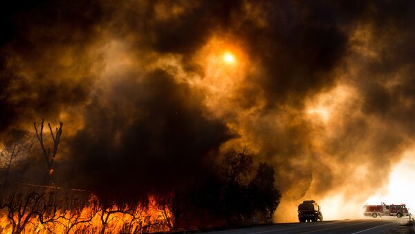 آتش‌سوزی مهیب در کالیفرنیا/ بیش از 8هزار نفر مجبور به ترک خانه ‌های ‌شان شدند - اسپوتنیک افغانستان  