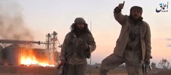 Боевики ДАИШ в окрестностях Пальмиры Боевики ДАИШ в окрестностях Пальмиры - اسپوتنیک افغانستان