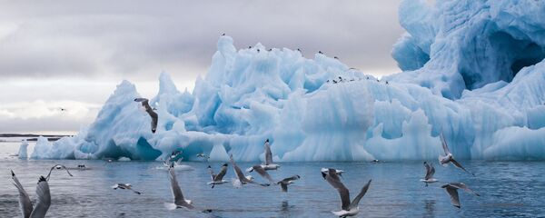 Национальный парк Русская Арктика Национальный парк Русская Арктика - اسپوتنیک افغانستان