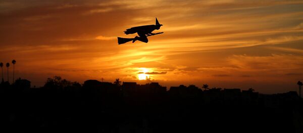 Самолет на радиоуправлении в виде ведьмы на закате в Калифорнии Самолет на радиоуправлении в виде ведьмы на закате в Калифорнии - اسپوتنیک افغانستان