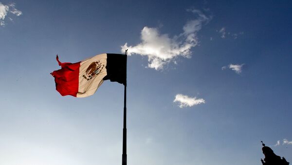 رسوایی دیپلماتیک سفیر مکزیک در آرژانتین + ویدئو - اسپوتنیک افغانستان  
