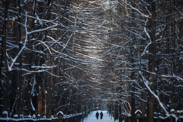 مردم شهر در یکی از پارک های مسکو در روز سرد یخبندان - اسپوتنیک افغانستان  