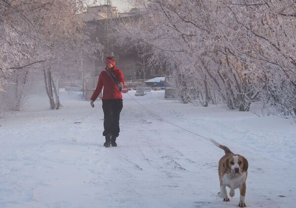 یکی از ساکنان شهر مسکو در روز سرد یخبندان سگ اش را گردش می دهد - اسپوتنیک افغانستان  