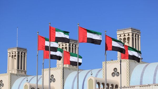 امارات از نقش ترکیه در امور داخلی لیبیا انتقاد کرد - اسپوتنیک افغانستان  