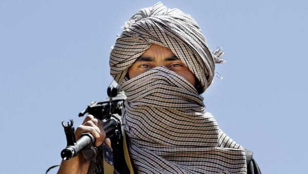 یک عضو مخفی طالبان در میدان وردگ بازداشت شد - اسپوتنیک افغانستان  
