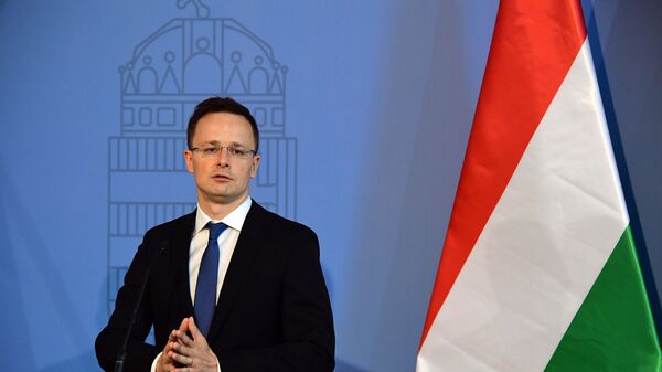 وزارت امور خارجه مجارستان تحریم‌ها علیه روسیه را بی اثر خواند - اسپوتنیک افغانستان  