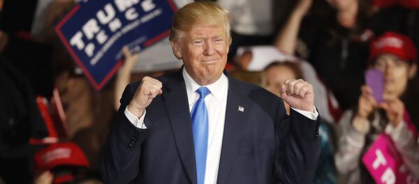 ترامپ قول داد درباره بررسی پرونده کلینتون فکر کند - اسپوتنیک افغانستان  