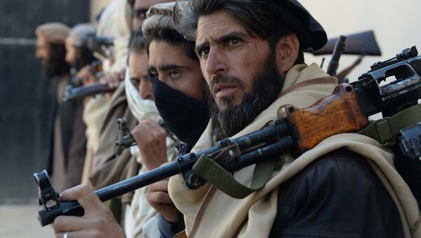 حدود سه هزارمیل سلاح در هرات در اختیار افراد مسلح غیرمسئول است - اسپوتنیک افغانستان  